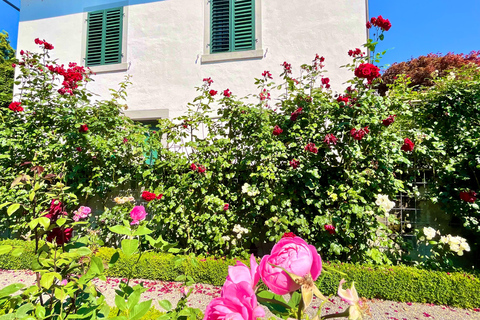 FREE PHOTO near Zurich Rapperswil: Castle, Rose Old Town FREE Photo add near Zurich Rapperswil walk Castle, Rose