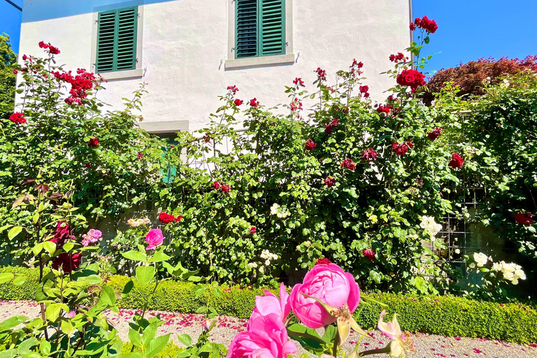 FREE PHOTO near Zurich Rapperswil: Castle, Rose Old Town FREE Photo add near Zurich Rapperswil walk Castle, Rose