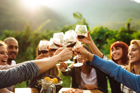 Santiago: Valparaíso, Neruda, Concon Dunes, and Wine Tasting in Casablanca