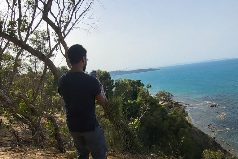 Tunis erkunden: Historische Medina und das charmante Sidi Bou Said