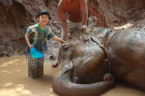 Chiang Mai : Visite d'une jounée du parc écologique des éléphants de Kerchor et trekking