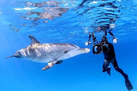 Marsa Alam: Sataya Reefs Dolphin, Snorkeling and Lunch