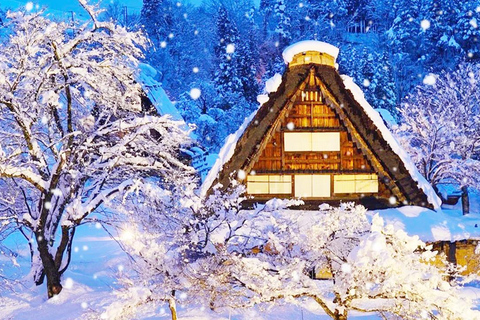 Shirakawa-go Snow Illumination Festival Tour from Nagoya VIP Small group up to 9-guests