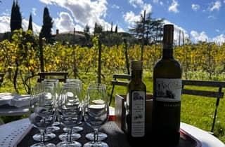 Von Rom aus: Halbtägige Frascati-Weintour mit Mittagessen auf dem Bauernhof