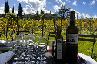 From Rome: Half-Day Frascati Wine Tour with Farmhouse Lunch