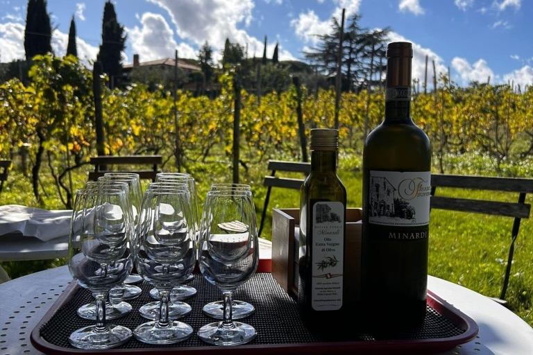 From Rome: Frascati Half-Day Trip by Train & Wine Tasting
