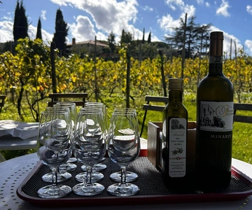 From Rome: Half-Day Frascati Wine Tour with Farmhouse Lunch