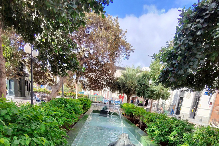 Private Bandama Caldera Volcano, Botanic Garden & Old Town