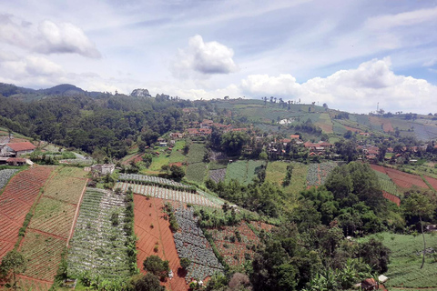 Bandung: Tangkuban Perahu Volcano Tours Tangkuban Perahu - Domas - Tahura Djuanda - Keraton Cliff