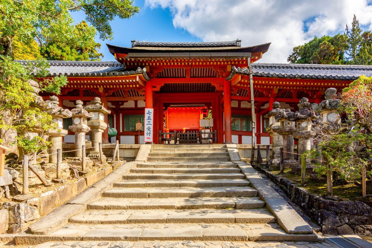 Osaka: Nara Private Day Tour