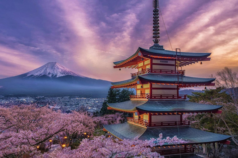 From Tokyo: Mount Fuji Private Tour With English Guide Route 2 Mount Fuji & Hakone: Full day customized Tour