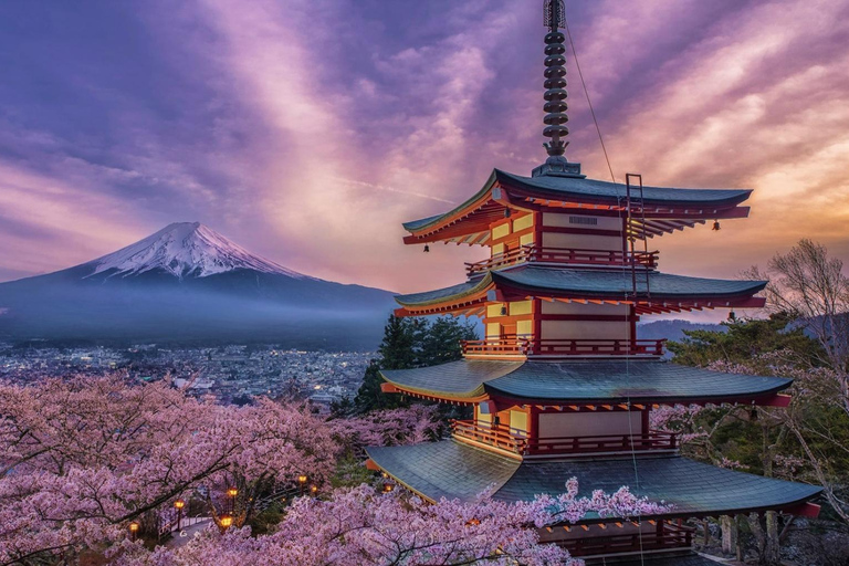 From Tokyo: Mount Fuji Private Tour With English Guide Route 2 Mount Fuji & Hakone: Full day customized Tour