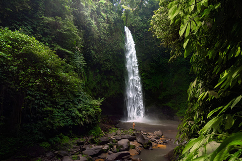 Bali: Private Jungle Swing, Waterfall & Rice Paddy Tour Private Tour with Entrance Fess