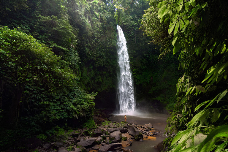 Bali: Private Jungle Swing, Waterfall & Rice Paddy Tour Private Tour with Entrance Fess