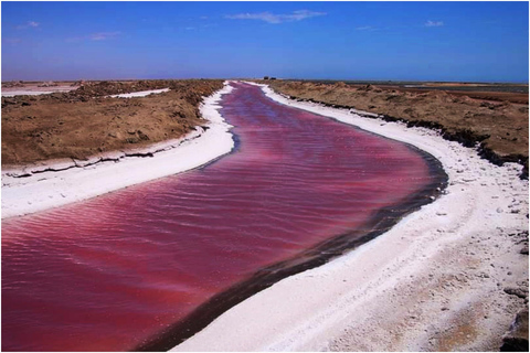 Walvisbay: Passeio ao pôr do sol em Sandwich Harbour - Termine com beleza