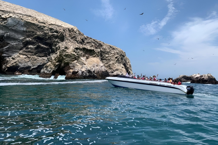 Depuis Paracas : Observation de la faune marine de l'île de Ballestas