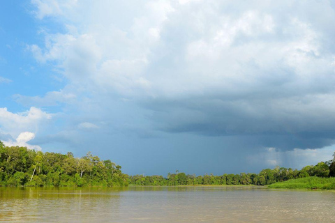 Sandakan : 3-Day Kinabatangan River Wildlife Adventure (Shared Tour) 3 Day 2 Night At Kinabatangan River