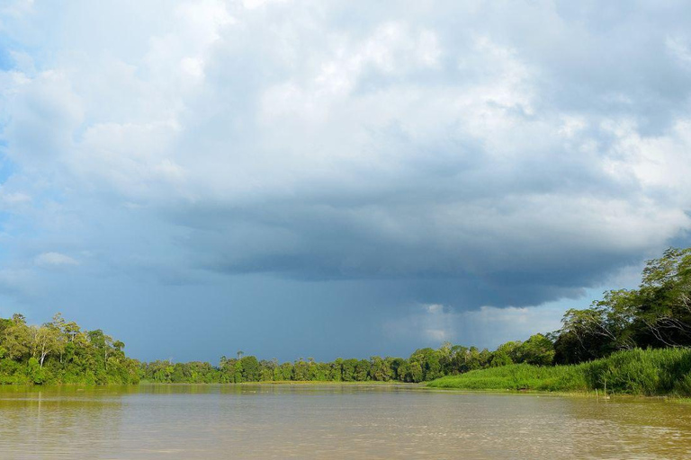 Sandakan : 3-Day Kinabatangan River Wildlife Adventure (Shared Tour) 3 Day 2 Night At Kinabatangan River