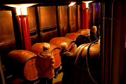 Organic wine discovery tour with tasting at the Mohr-Gutting organic winery (Palatinate)
