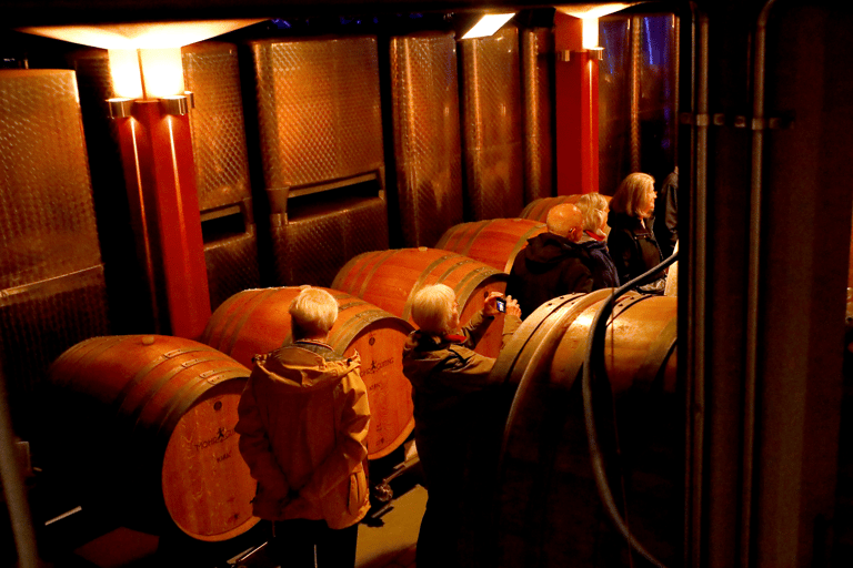 Organic wine discovery tour with tasting at the Mohr-Gutting organic winery (Palatinate)