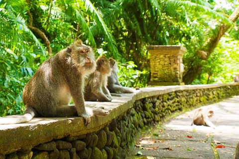 Monkey forest, Rice Terrace, Water Temple & Waterfall tour. Best of Ubud Privat Tour without entrance fee