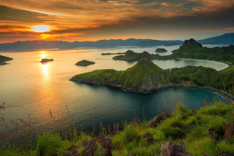 Guided full-day Exploration trip of Komodo Island Day Trip with Private Speed Boat