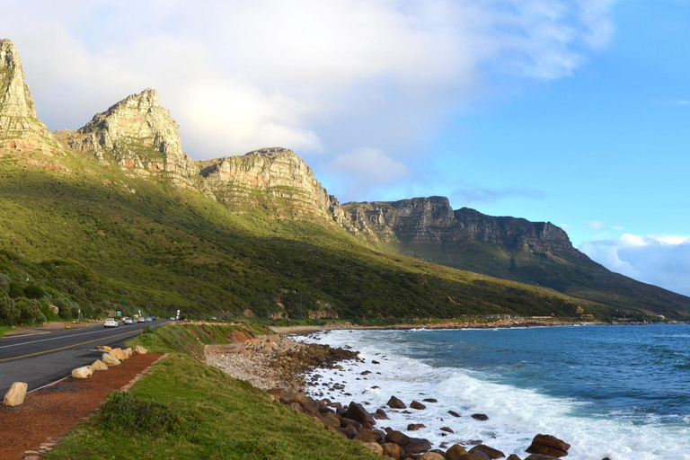 Cape Town: Half Day Cycle Tour