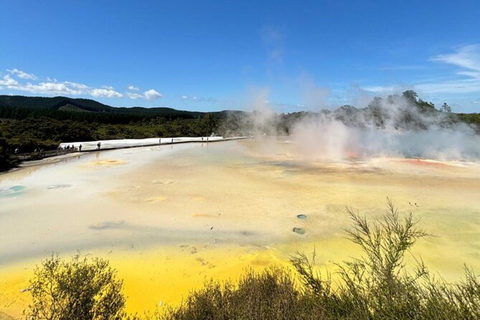 Rotorua y Taupo con Waiotapu y el géiser LadyKnox y las cataratas Huka