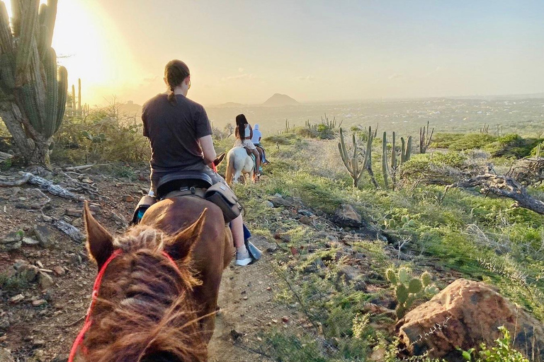 Aruba: Rancho Loco Natural Pool Horseback Tour thru Arikok Aruba: Rancho Loco Natural Pool Excursion