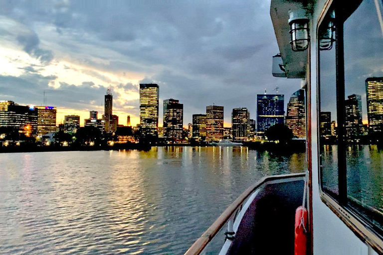 布宜诺斯艾利斯：含开放式酒吧的拉普拉塔河日落巡游1 小时游览