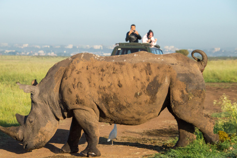 Parco Nazionale di Nairobi: con una jeep aperta con tetto pop