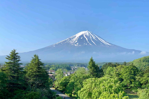 Tokyo : Excursion d&#039;une journée au Mont Fuji et au lac Kawaguchi sur InstagramDepuis Tokyo : Le Mont Fuji et l&#039;excursion familiale Oshino Hakkai