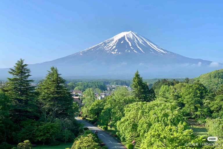 Tokio: Mt. Fuji &amp; Kawaguchi See Instagram TagestourVon Tokio aus: Berg Fuji und Oshino Hakkai Familienspaß-Tour