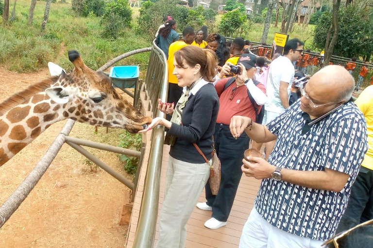 tôt le matin, safari dans le parc national de Nairobi