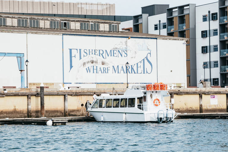 Port Adelaide: Crociera con delfini e cimitero delle naviAdelaide: crociera al cimitero di Port River Dolphin e Ships