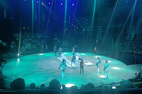 shanghai water village+ERA acrobatic show tour shanghai water village+ERA acrobatic show tour +A seat