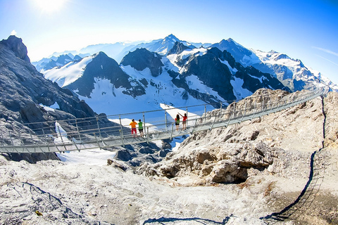 Vanuit Luzern: Titlis halve dag tour - Eeuwige sneeuw & gletsjerVanuit Luzern: Titlis-tour van een halve dag - Eeuwige sneeuw en gletsjer