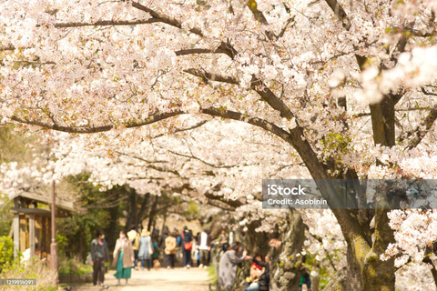 Mt Fuji Photography & Pilgrimage One-Day Tour From Tokyo Departure From Tokyo Station