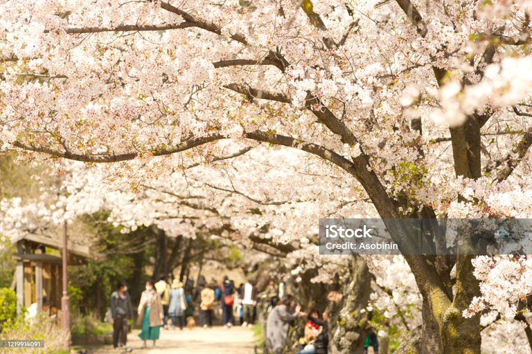 Mt Fuji Photography & Pilgrimage One-Day Tour From Tokyo Departure From Tokyo Station