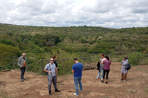 Nairobi: Meio dia de safari no Parque Nacional com guia