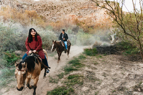 Da Las Vegas: Passeggiata a cavallo al tramonto nel deserto con cena BBQDa Las Vegas: Passeggiata a cavallo al tramonto nel deserto con cena barbecue