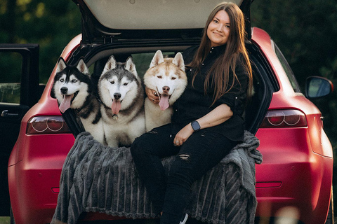 Near Warsaw: Spend Time with Three Adventurous Huskies