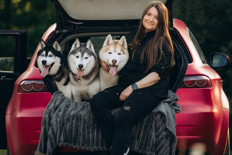 Near Warsaw: Spend Time with Three Adventurous Huskies