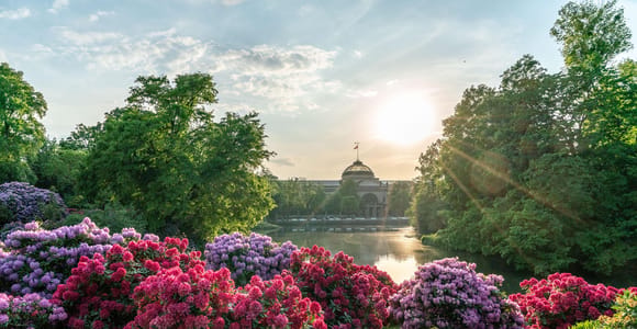 Wiesbaden: Natürlich Wiesbaden - öffentliche Tour