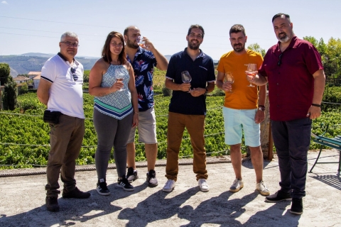Porto: Dourovallei: een authentieke wijnervaring met lunch