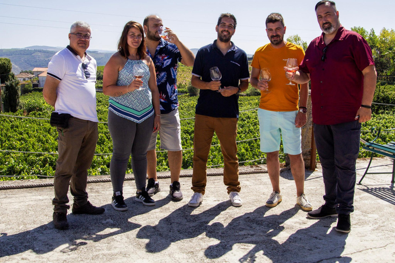 Oporto: Valle del Duero: Una auténtica experiencia vinícola con almuerzo