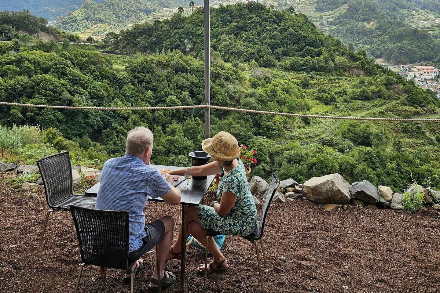 Madeira: Vineyard Tour w/ Wine Tasting & Skywalk