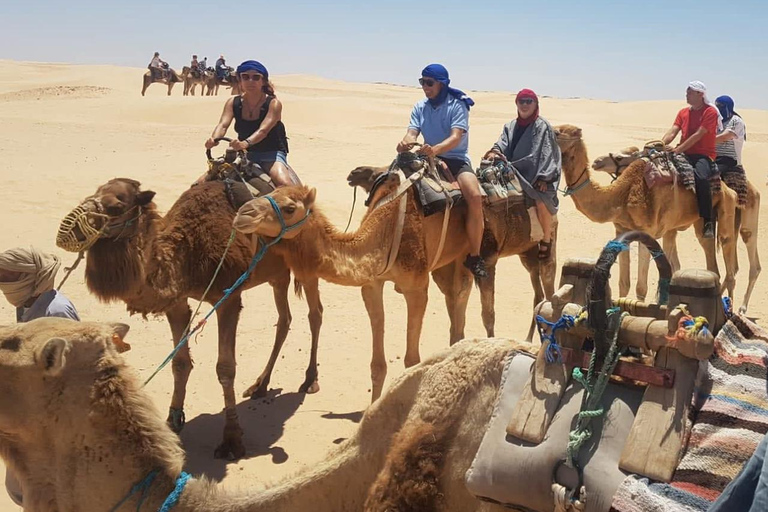 From Djerba: Douz, Matmata Star Wars Sites & local market