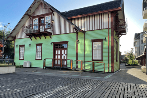 Puerto Varas: Half-Day City Tour, Puerto Montt Included