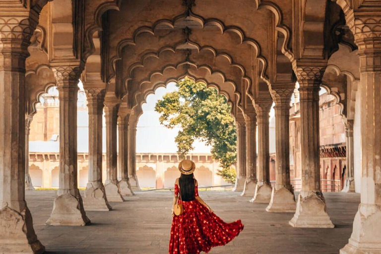 From Delhi: 3-Day Golden Triangle Tour with Tiger Safari All Inclusive 3days Golden Triangle Tour with 4*Star Hotel